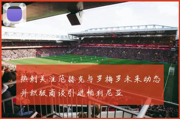 热刺关注范赫克与罗梅罗未来动态并积极商谈引进帕利尼亚